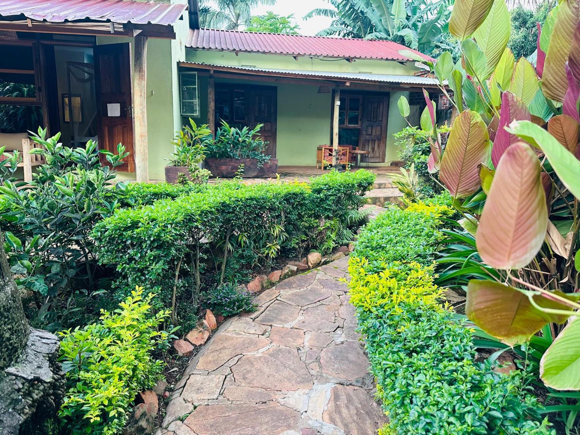 Afro Smile Hotel & Guest House Джінджа Екстер'єр фото